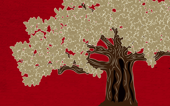 “落地辅导”这一新品类的三大科学原理